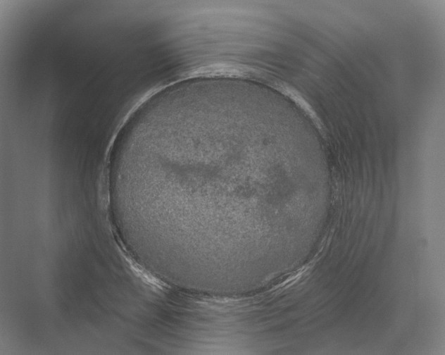 X0000069791075200606021407