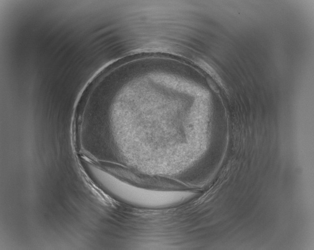 X0000069791076200606021407