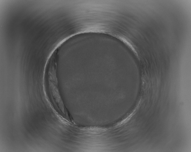 X0000069791077200606021407