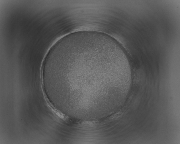 X0000069791078200606021407