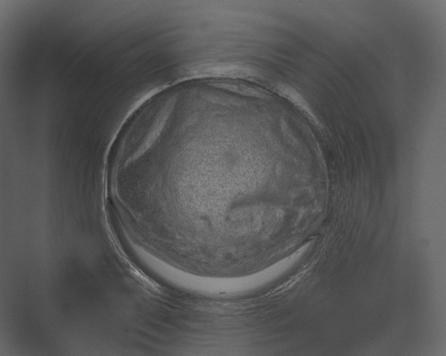 X0000069791079200606021407