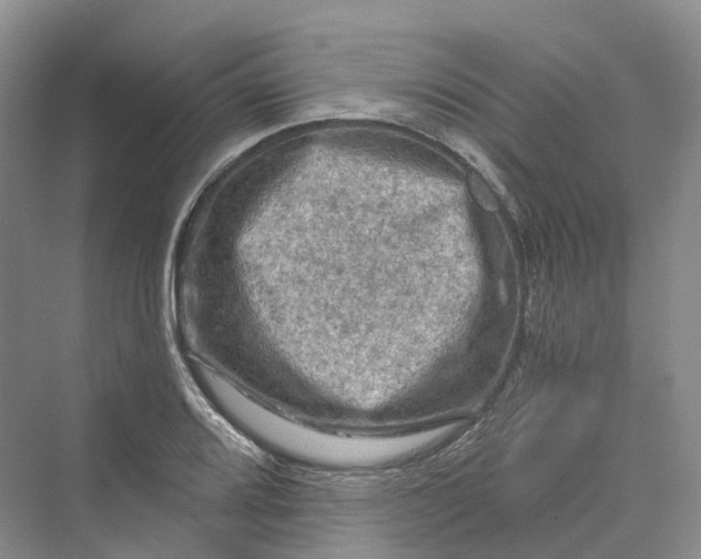 X0000069791080200606021407