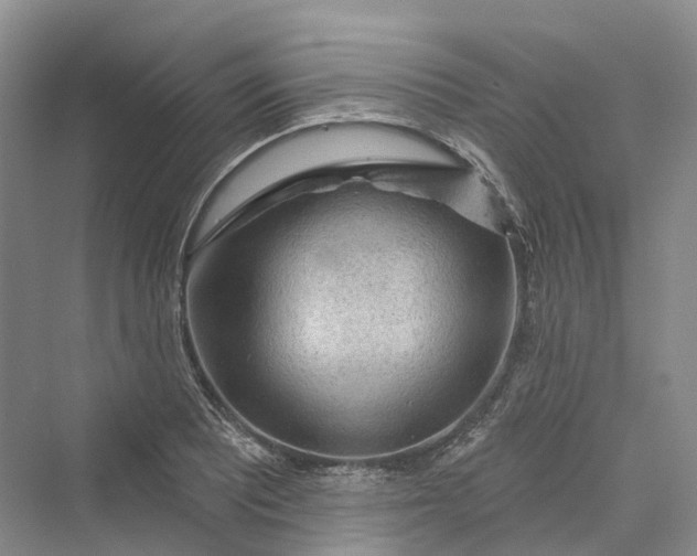 X0000069791081200606021407