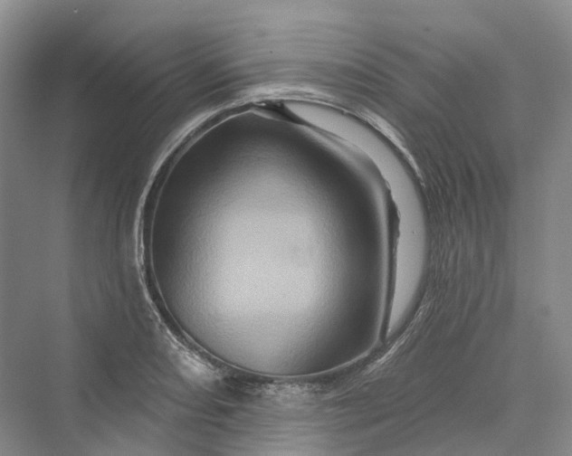 X0000069791082200606021407