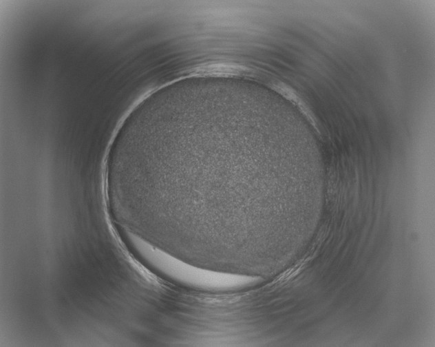 X0000069791083200606021407