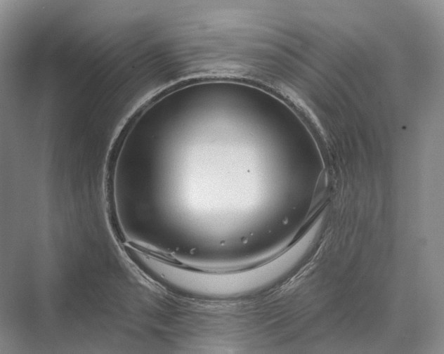 X0000069791085200606021407