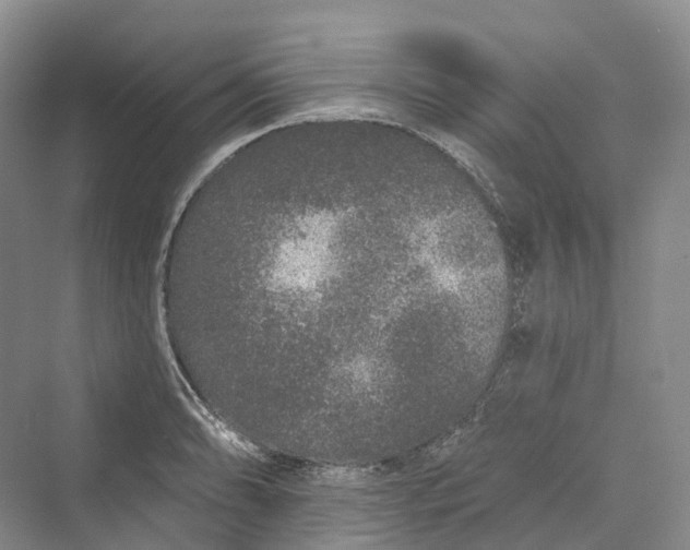 X0000069791086200606021407