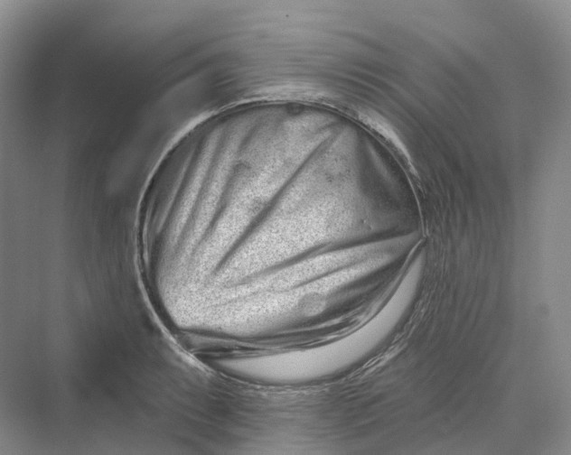 X0000069791087200606021407