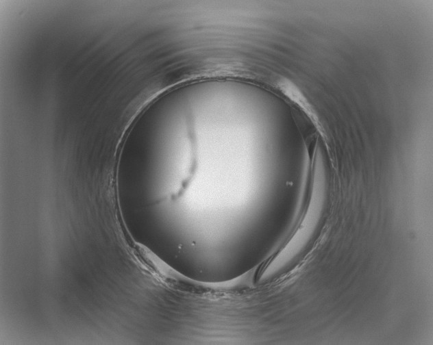 X0000069791089200606021407