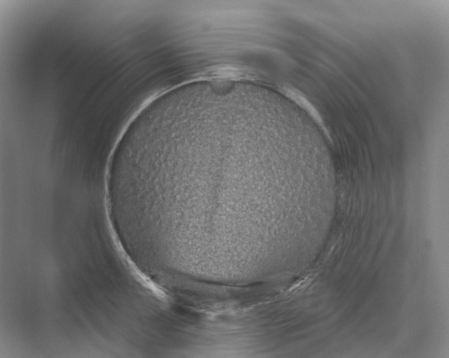 X0000069791091200606021407