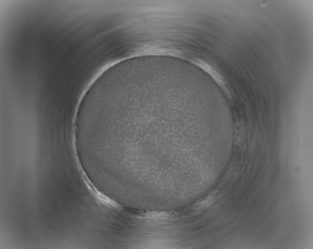 X0000069791094200606021407