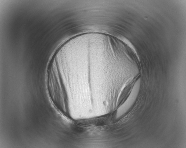 X0000069791096200606021407