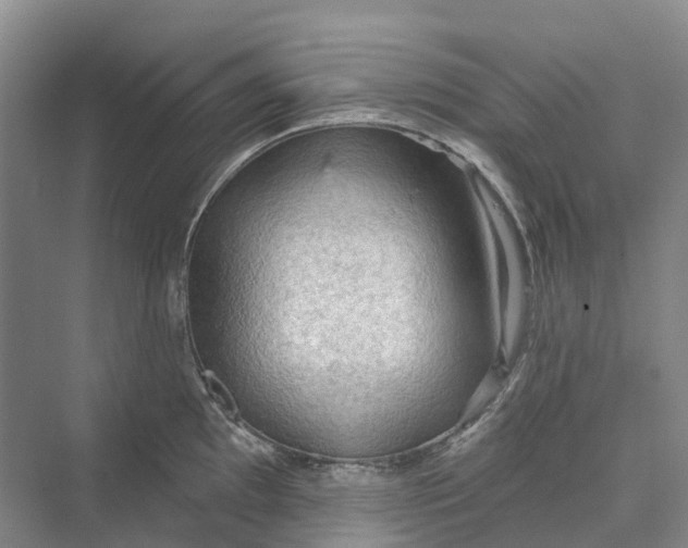 X0000069791097200606021407