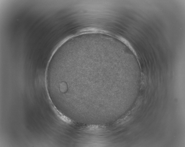 X0000069791098200606021407