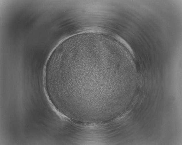 X0000069791099200606021407