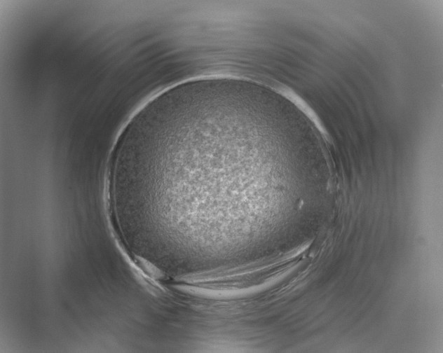 X0000069791101200606021407