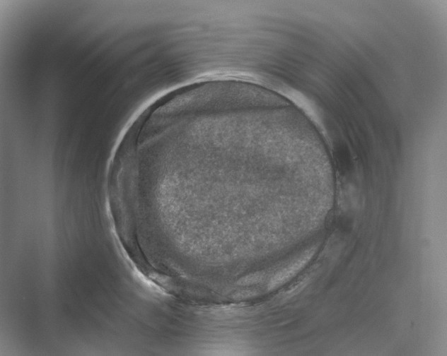 X0000069791102200606021407