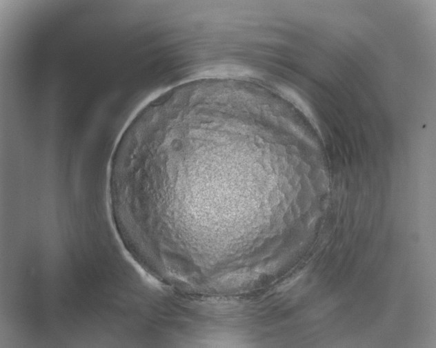 X0000069791103200606021406