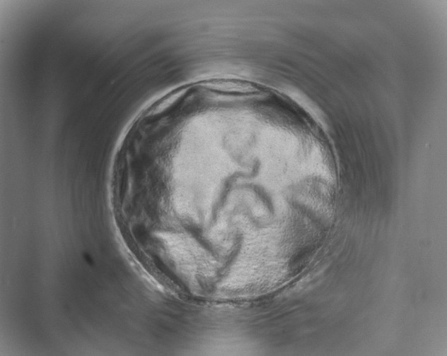 X0000069791104200606021406