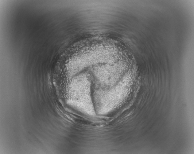 X0000069791106200606021406