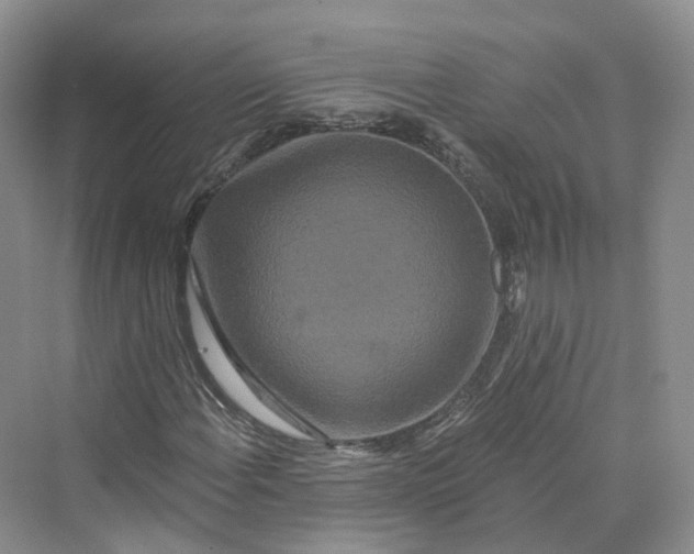 X0000069791108200606021406