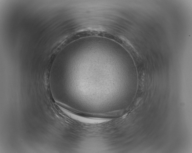 X0000069791110200606021406