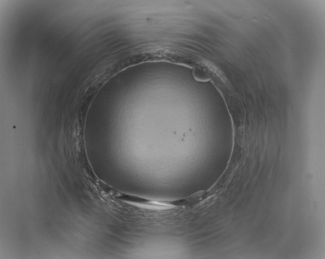 X0000069791111200606021406