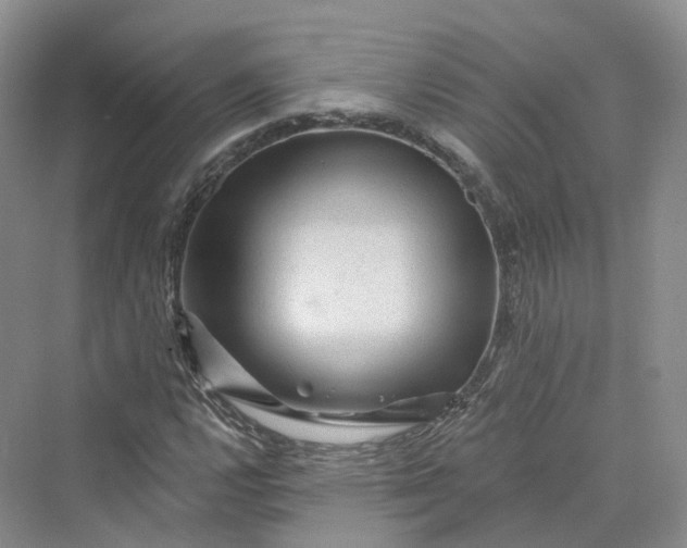 X0000069791112200606021406