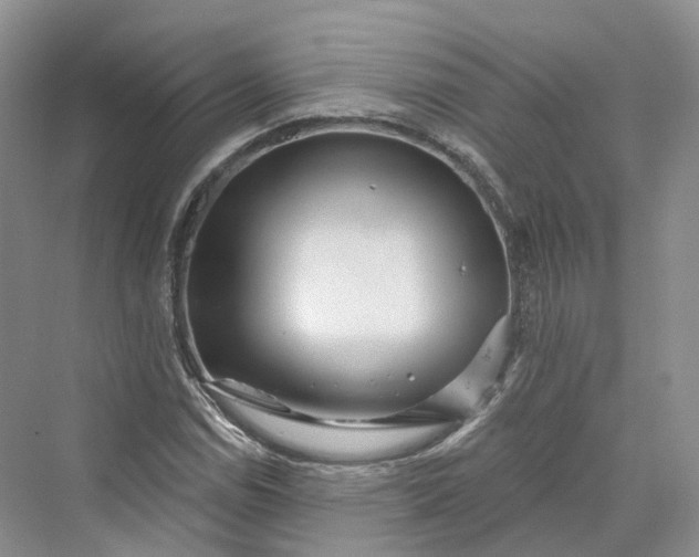 X0000069791114200606021406