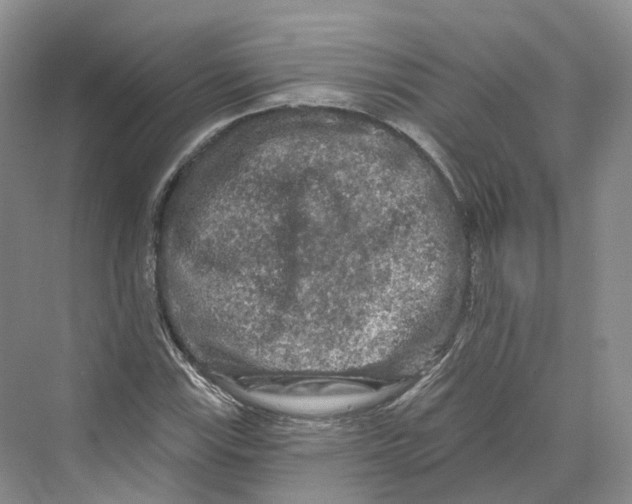 X0000069791115200606021406