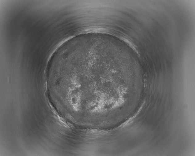 X0000069791117200606021406