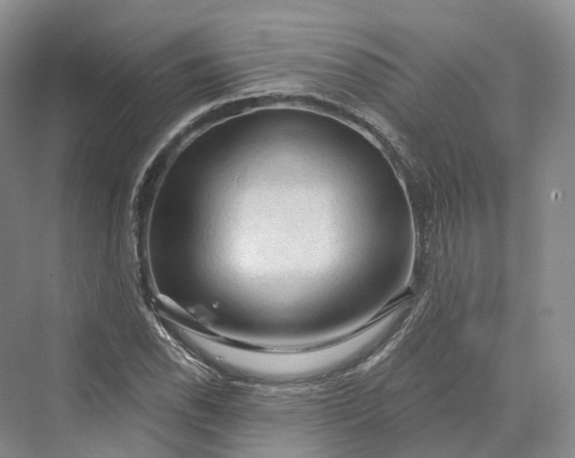 X0000069791118200606021406