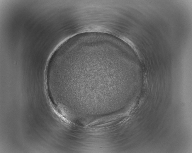 X0000069791120200606021406