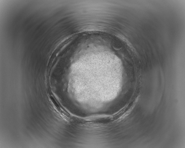 X0000069791121200606021406