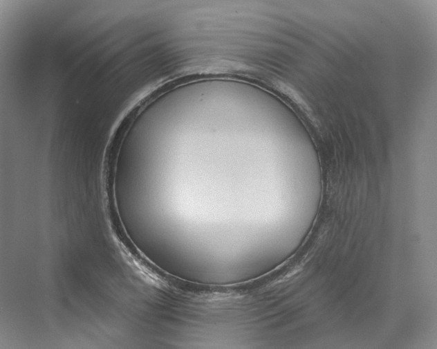 X0000069791122200606021406