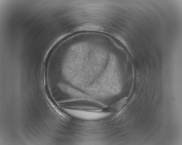 X0000069791123200606021406