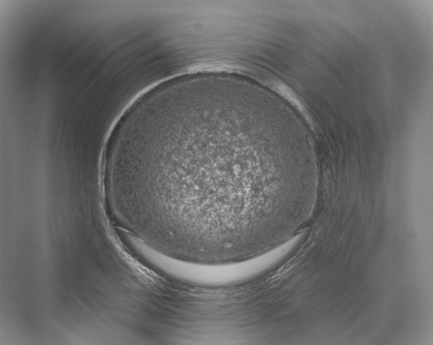 X0000069791124200606021406