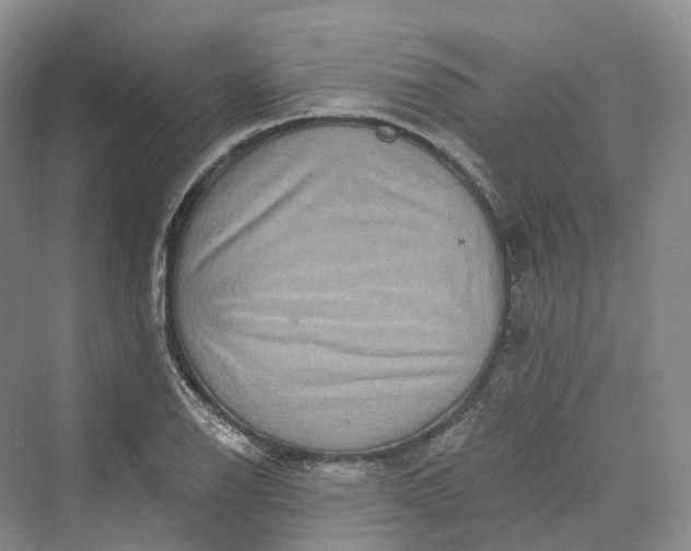 X0000069791126200606021406