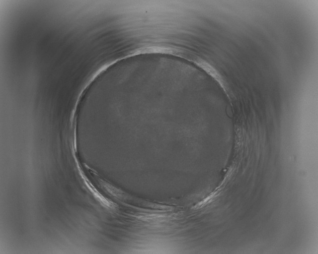 X0000069791127200606021406