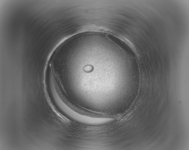 X0000069791128200606021406