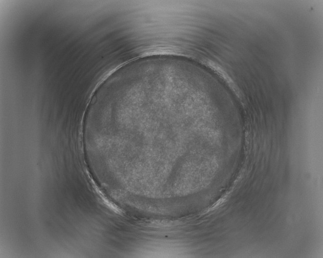 X0000069791129200606021406