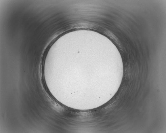 X0000069791130200606021406