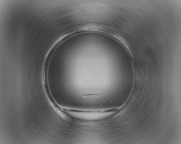 X0000069791131200606021406