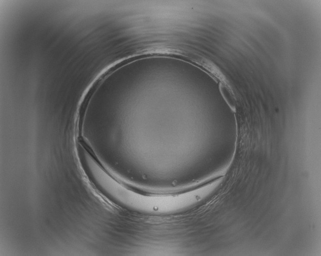 X0000069791132200606021406