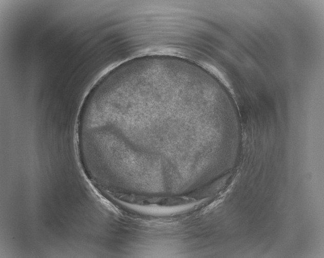 X0000069791133200606021406