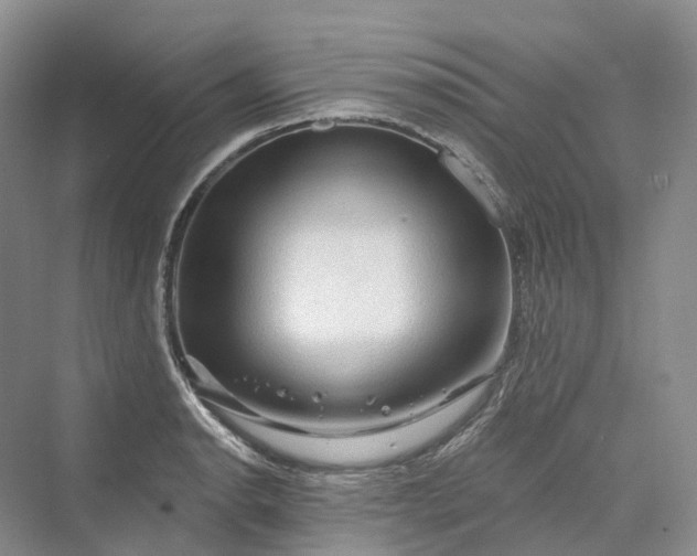 X0000069791134200606021406