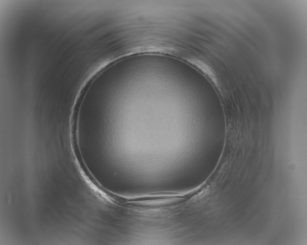 X0000069791135200606021406