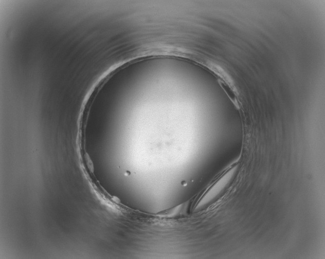 X0000069791136200606021406