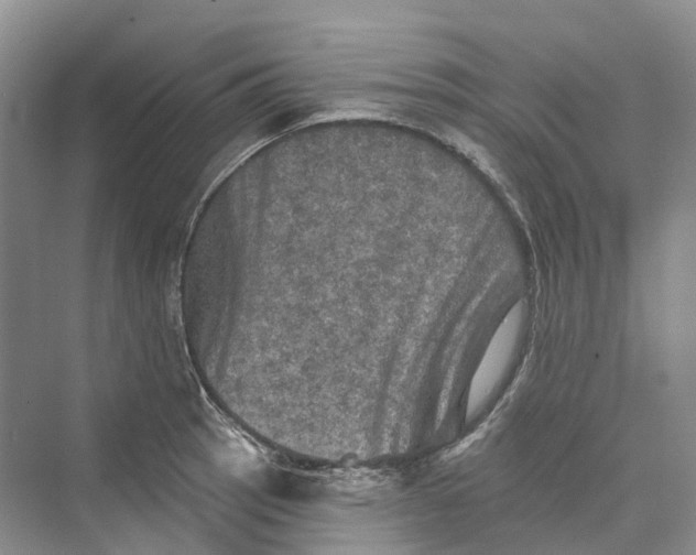 X0000069791137200606021406