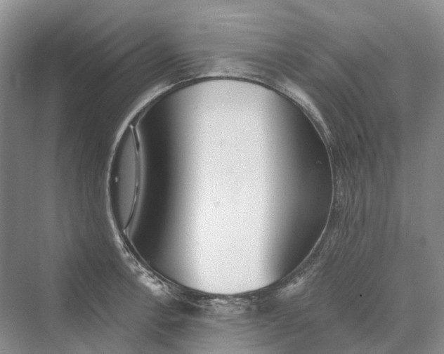 X0000069791138200606021406